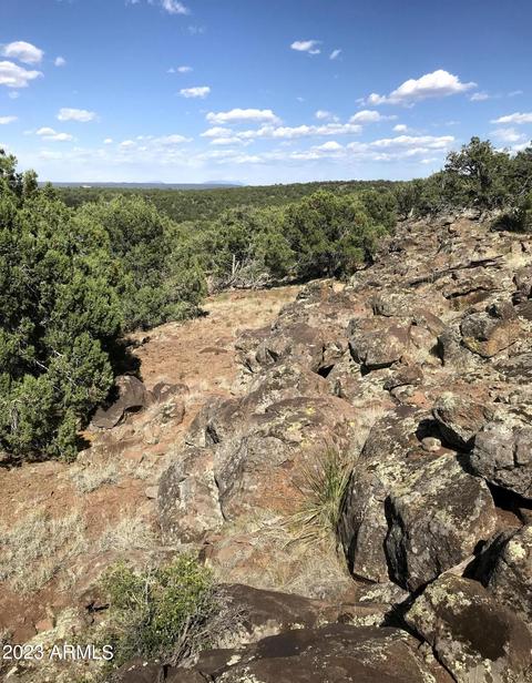 1605 N Pineveta Rd #-, Ash Fork, AZ 86320 photo 36