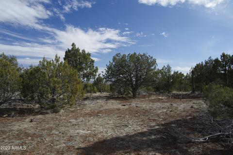 1605 N Pineveta Rd #-, Ash Fork, AZ 86320 photo 24