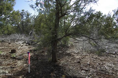 1605 N Pineveta Rd #-, Ash Fork, AZ 86320 photo 16
