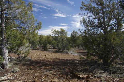 1605 N Pineveta Rd #-, Ash Fork, AZ 86320 photo 14