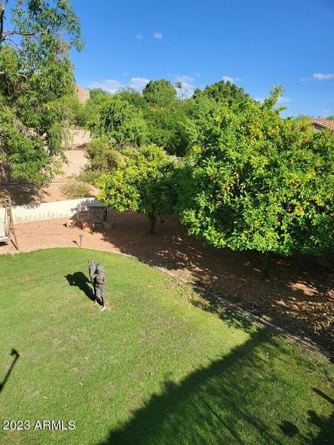 1309 E Bluefield Ave, Phoenix, AZ 85022 photo 10
