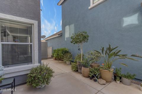 3096 E Orchid Ln, Gilbert, AZ 85296 photo 27