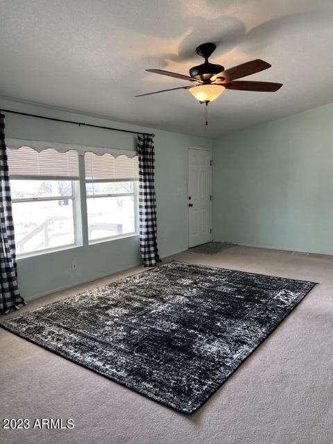 5702 S Camino Del Amor --, Hereford, AZ 85615