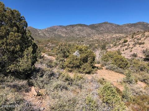 0000 E Horseshoe Springs Ln #-, Globe, AZ 85501 photo 3