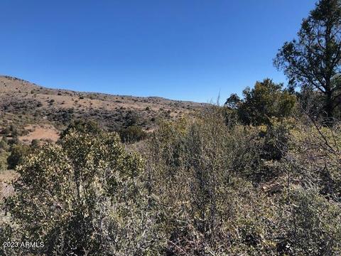 0000 E Horseshoe Springs Ln #-, Globe, AZ 85501 photo 2