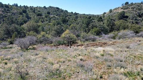 0000 E Horseshoe Springs Ln #-, Globe, AZ 85501 photo 10