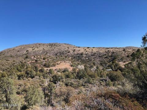 0000 E Horseshoe Springs Ln #-, Globe, AZ 85501 photo 4