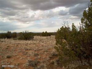 469 Chevelon Canyon Rnch #469, Heber, AZ 85928