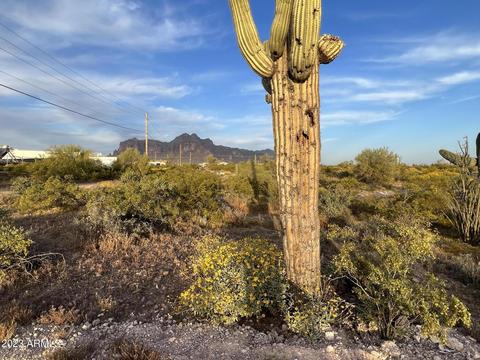 0 N Bowman Lot 1 Rd #1, Apache Junction, AZ 85119 photo 6