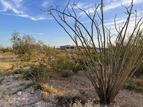 0 N Bowman Lot 1 Rd #1, Apache Junction, AZ 85119 photo 5