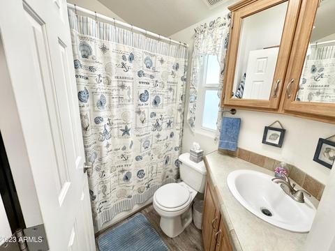 390 S Hawks Eye Dr, Apache Junction, AZ 85119 photo 47