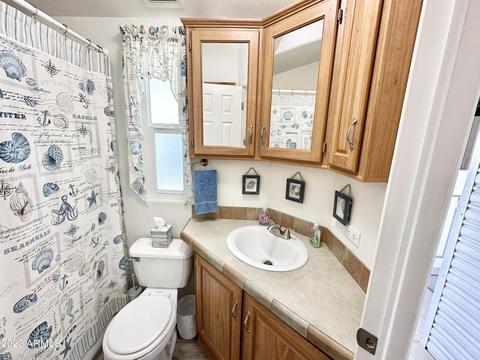 390 S Hawks Eye Dr, Apache Junction, AZ 85119 photo 45