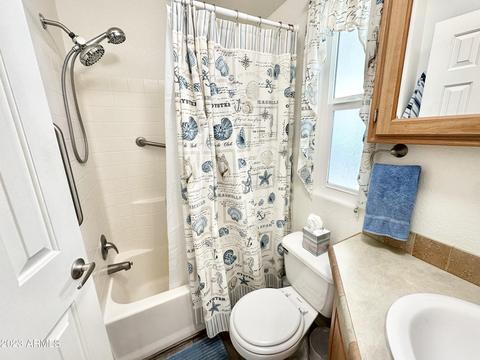 390 S Hawks Eye Dr, Apache Junction, AZ 85119 photo 46