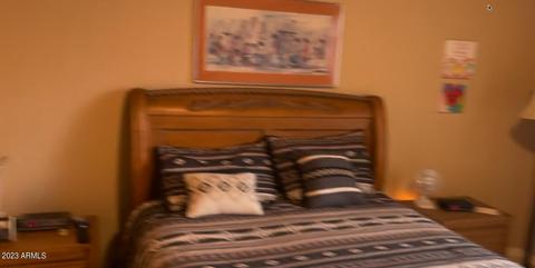 24 N Geronimo Rd, Apache Junction, AZ 85119 photo 14