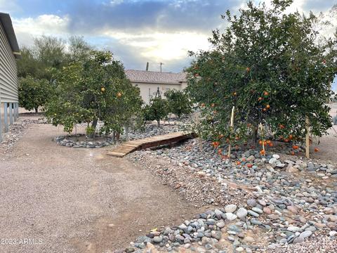 24 N Geronimo Rd, Apache Junction, AZ 85119 photo 31