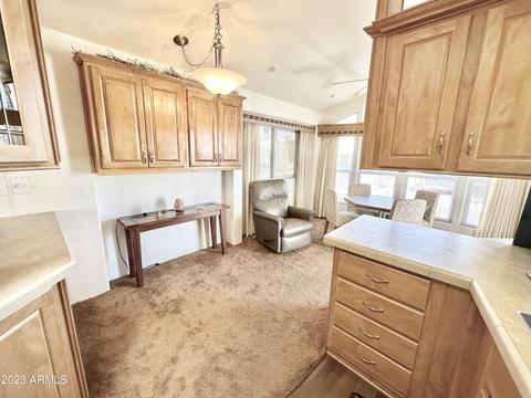 769 S Diamond Dr, Apache Junction, AZ 85119 photo 43