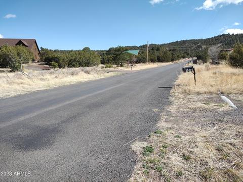 1344 S Amity Ln, Eagar, AZ 85925 photo 3