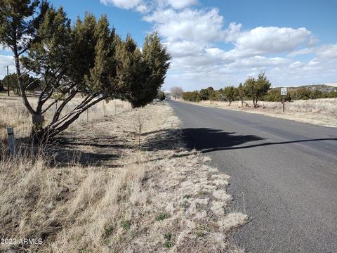 1344 S Amity Ln, Eagar, AZ 85925 photo 4