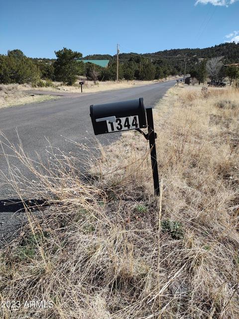 1344 S Amity Ln, Eagar, AZ 85925 photo 5