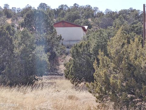 1344 S Amity Ln, Eagar, AZ 85925