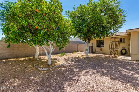 4232 E Diamond Ave, Mesa, AZ 85206 photo 26