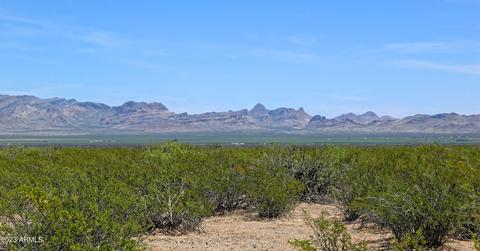 tbd Wood Canyon Rd 1917 Acres -- #2, San Simon, AZ 85632