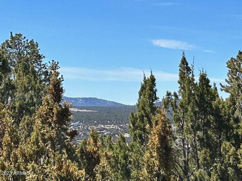 lot46 Uphill Trl #46, Vernon, AZ 85940
