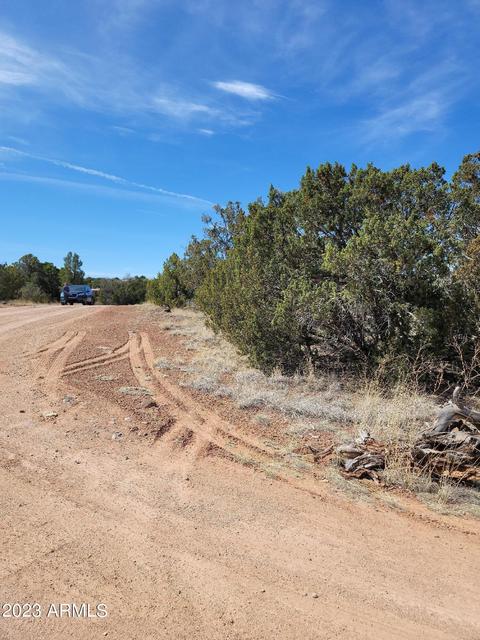 8527 Cannon Blvd #60, Show Low, AZ 85901
