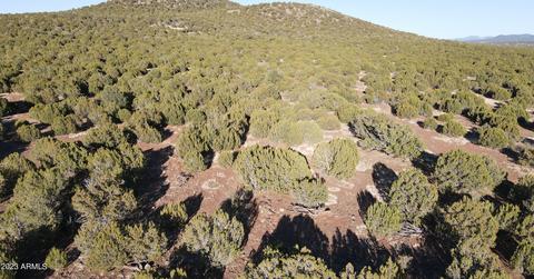 1220 Ortega Mountain Rd #-, Show Low, AZ 85901