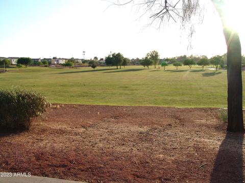 1021 E Annette Dr, Phoenix, AZ 85022 photo 3