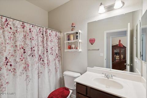 3875 S Vineyard Ave, Gilbert, AZ 85297 photo 9