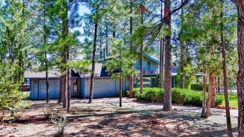 3385 Pine Cone Dr, Overgaard, AZ 85933 photo 39