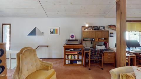 3385 Pine Cone Dr, Overgaard, AZ 85933 photo 24