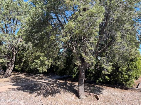 3045 E 14th St, Douglas, AZ 85607 photo 2