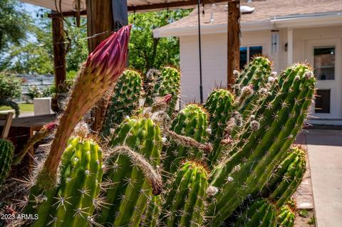 3350 E Vineyard Rd, Phoenix, AZ 85042 photo 81