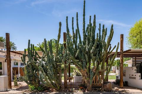 3350 E Vineyard Rd, Phoenix, AZ 85042 photo 80
