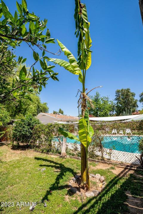 3350 E Vineyard Rd, Phoenix, AZ 85042 photo 87