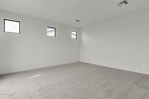838 E Buist Ave, Phoenix, AZ 85042 photo 22