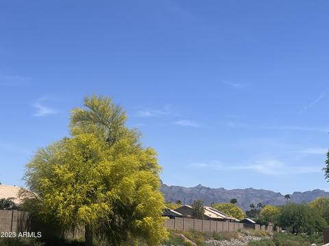 1004 W 14th Ave, Apache Junction, AZ 85120 photo 16