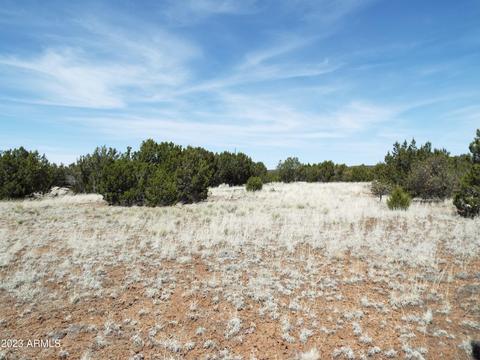 tbd 8237 South Of 8050 Rd #98, Concho, AZ 85924