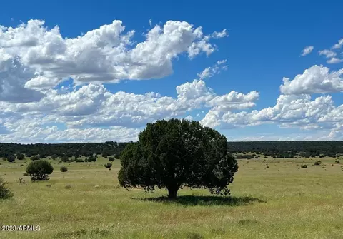 65506 N Deliverance Rd #-, Seligman, AZ 86337