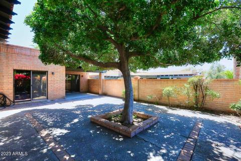 6833 N 18th St, Phoenix, AZ 85016 photo 3