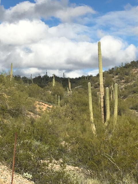 86 346 Ac Stonehedge Ranch Rd #6, Wickenburg, AZ 85390