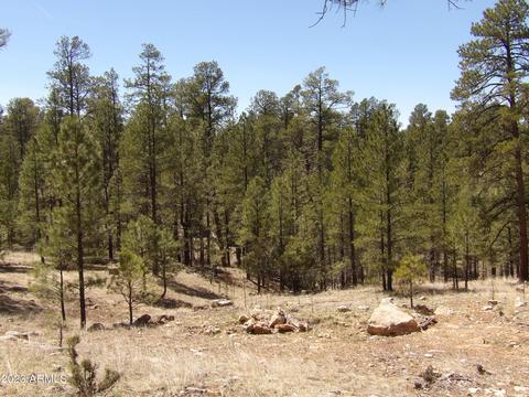 2732 Canyon View Dr #531, Happy Jack, AZ 86024