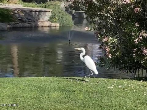 1248 W Edgewater Dr, Gilbert, AZ 85233 photo 40