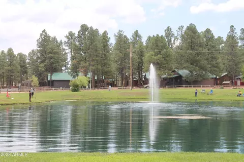 2342 S Buffalo Loop, Overgaard, AZ 85933 photo 28