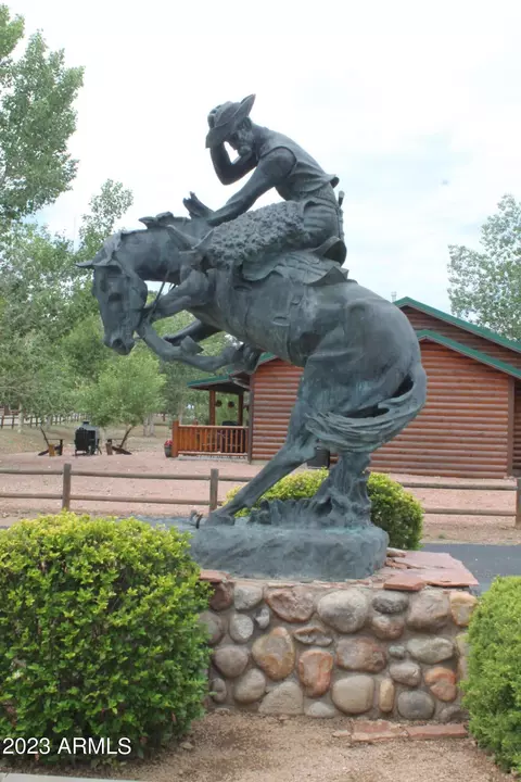 2342 S Buffalo Loop, Overgaard, AZ 85933 photo 18