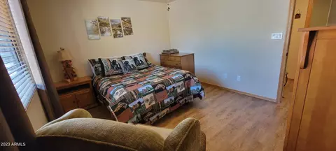 2342 S Buffalo Loop, Overgaard, AZ 85933 photo 14