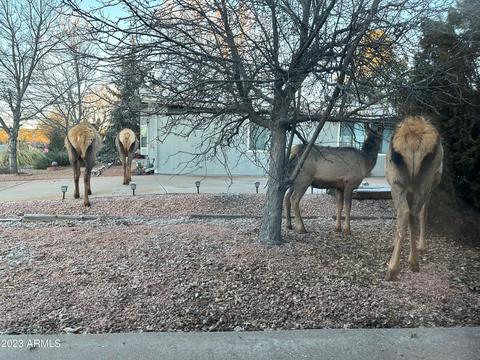 902 W Granada Way W, Payson, AZ 85541 photo 19