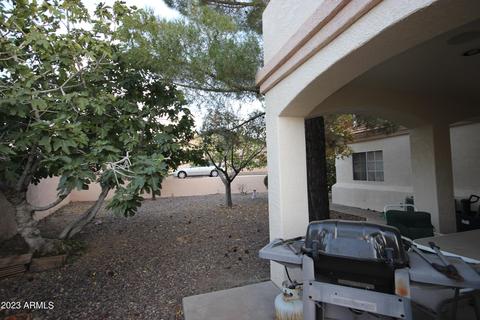 255 Holly Rd, Globe, AZ 85501 photo 29